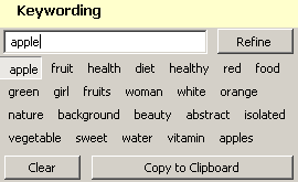 picniche keywords suggestion tool